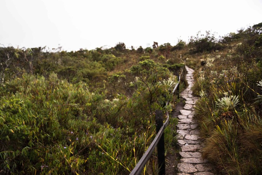 Picture 4 for Activity From Bogotá: Salt Cathedral and Lake Guatavita Day Tour