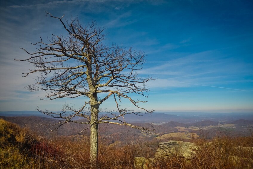 Great Smoky, Shenandoah National Park Self-Guide Audio Tour