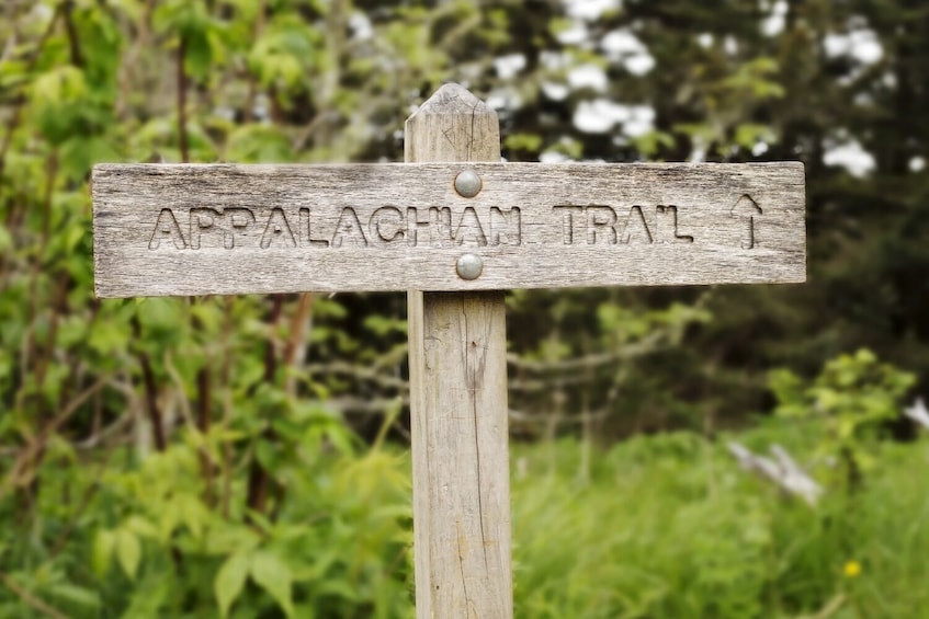 Great Smoky, Shenandoah National Park Self-Guide Audio Tour