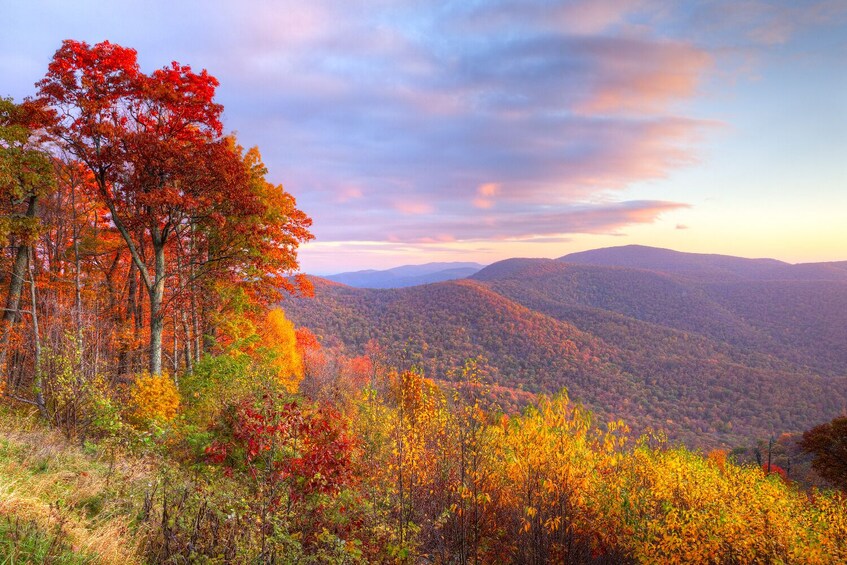 Great Smoky, Shenandoah National Park Self-Guide Audio Tour