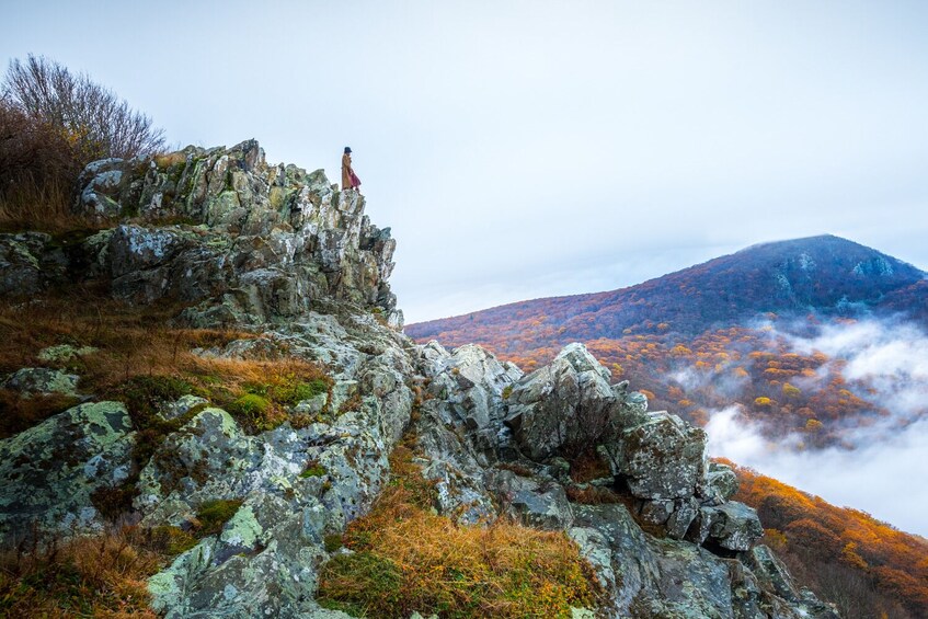 Great Smoky, Shenandoah National Park Self-Guide Audio Tour