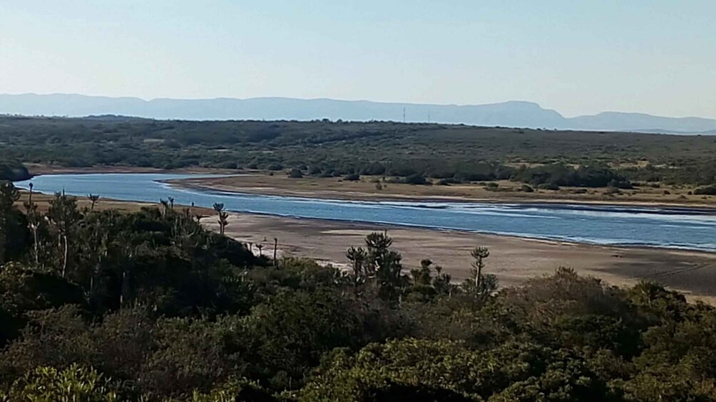 Picture 5 for Activity Kayaking Jeffreys Bay