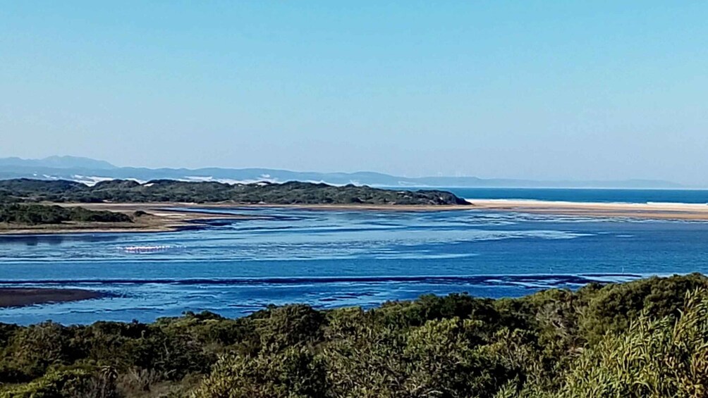 Picture 7 for Activity Kayaking Jeffreys Bay