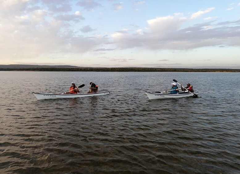 Picture 6 for Activity Kayaking Jeffreys Bay