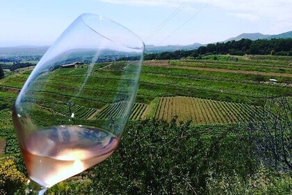 Grand Wine Tour from Catania or Taormina