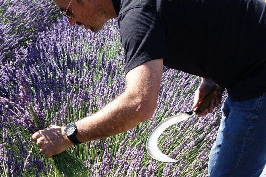 Learn how to use the pruning hook alongside our producer