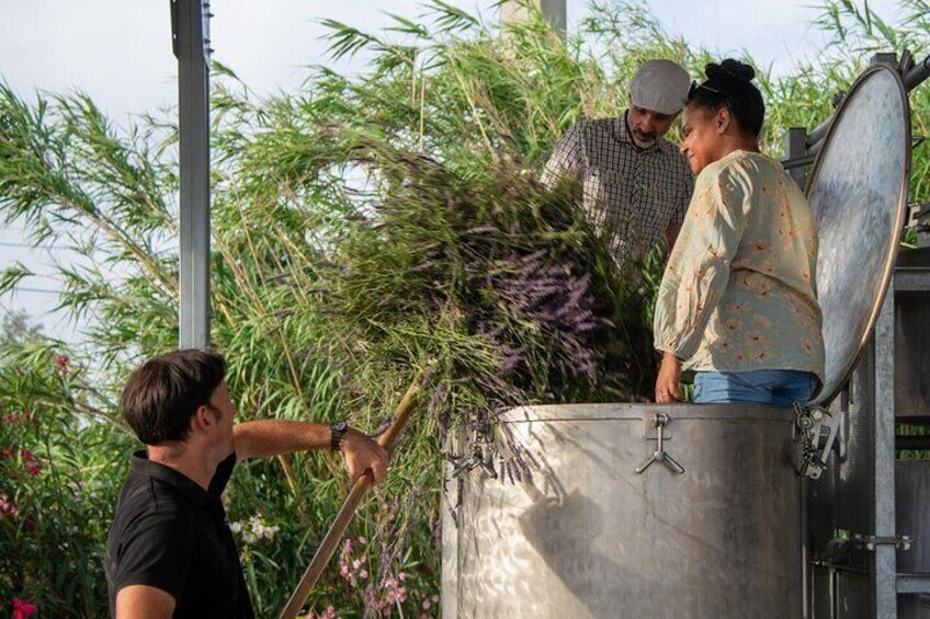 Load the lavenders into the still with us