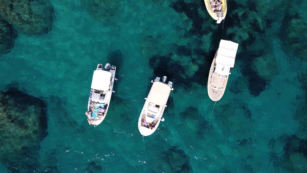 Picture 3 for Activity Private boat tour from Dubrovnik/Cavtat to Elafiti islands