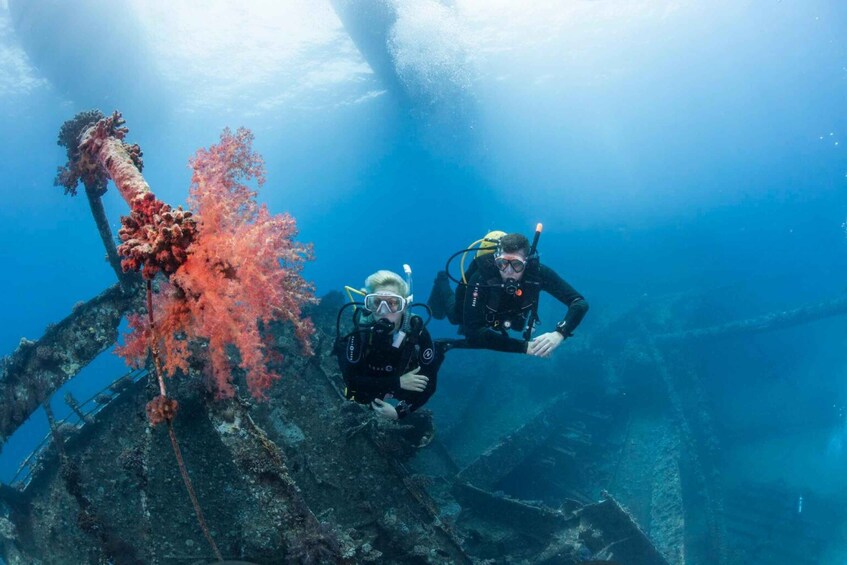 Picture 8 for Activity From Sharm or Dahab: Blue Hole & Canyon Sea Dive Experience