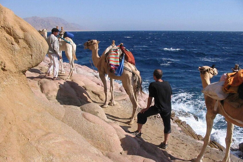 Picture 12 for Activity From Sharm or Dahab: Blue Hole & Canyon Sea Dive Experience