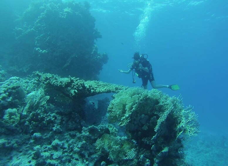 Picture 3 for Activity From Sharm or Dahab: Blue Hole & Canyon Sea Dive Experience