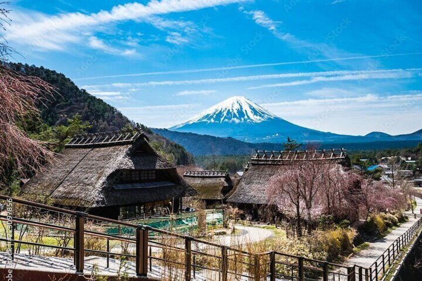  Tokyo Mount Fuji Sightseeing Tour With English Speaking Guide
