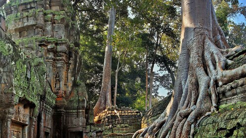 Siem Reap: Angkor What Tempel & Phnom Kulen Park 3-Tages-Tour