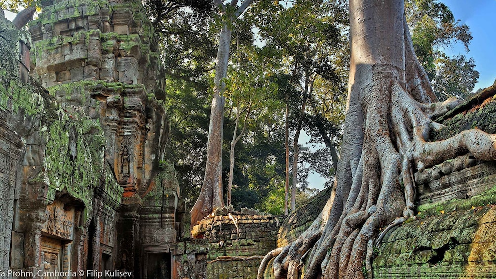 Siem Reap: Angkor Wat Temples & Phnom Kulen Park 3-Day Tour