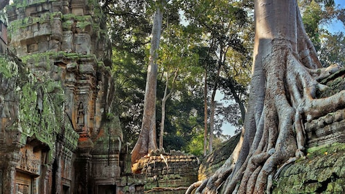 Siem Reap : Angkor Quels Temples et Parc Phnom Kulen 3 jours excursion