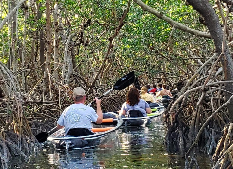 Clear Kayak Guided Tour Through Shell Key Nature Preserve