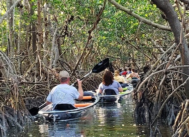 St Petersburg: Shell Key Nature Preserve: tour in kayak
