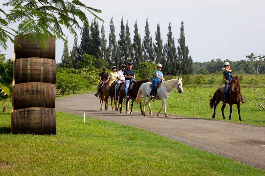 Picture 1 for Activity From San Juan: Horse Riding at a Private Ranch