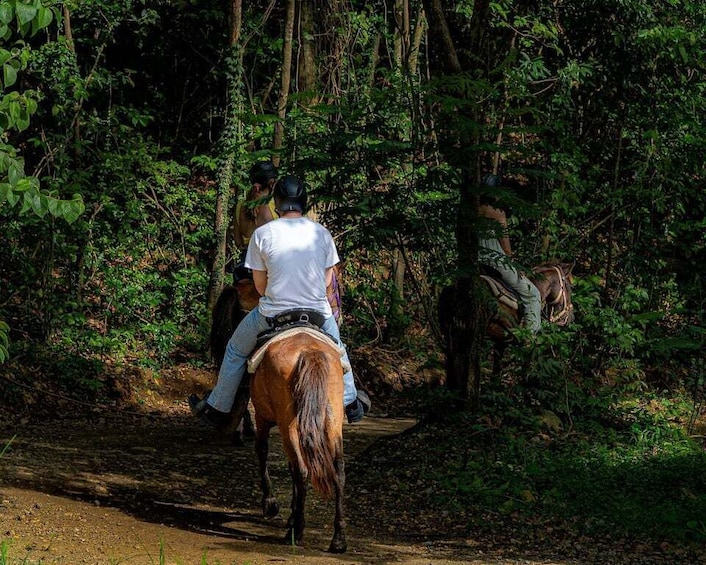 Picture 5 for Activity From Carolina: Horse Riding at a Private Ranch