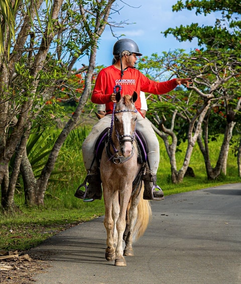 Picture 2 for Activity From Carolina: Horse Riding at a Private Ranch