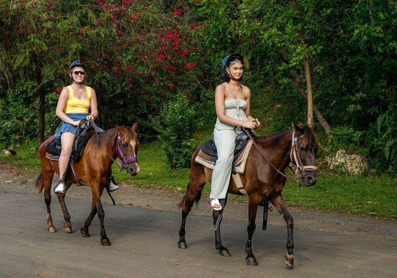 Picture 1 for Activity From Carolina: Horse Riding at a Private Ranch
