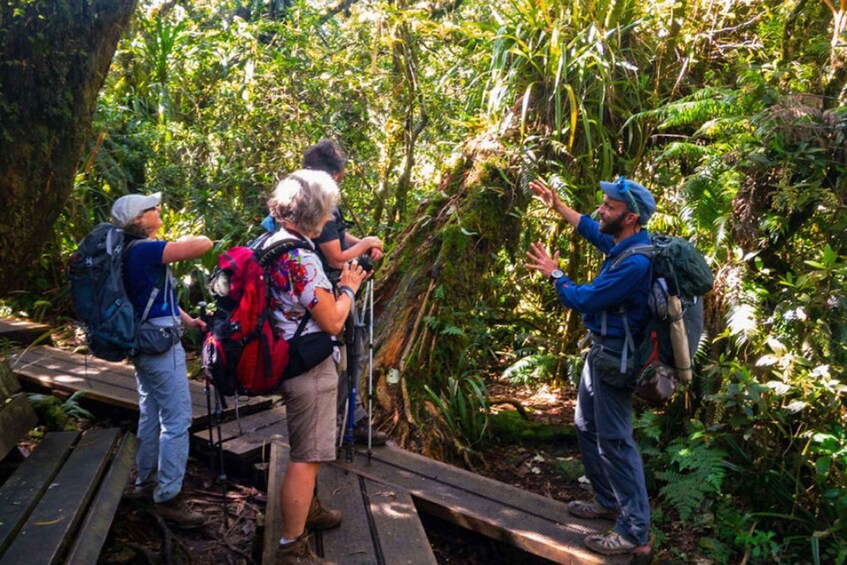 Picture 2 for Activity Forest Bélouve: Trou de Fer Weekly Group Hike in French