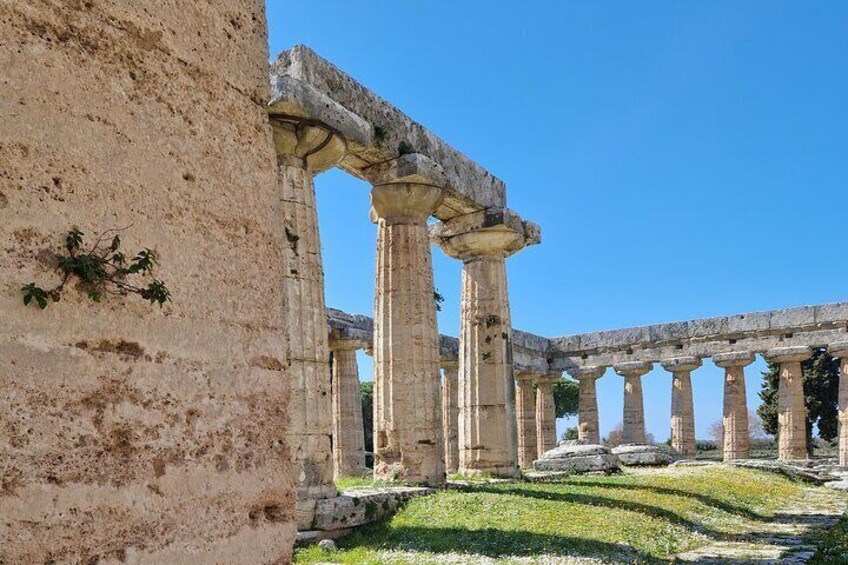 Half Day Private Tour in the Temples of Paestum