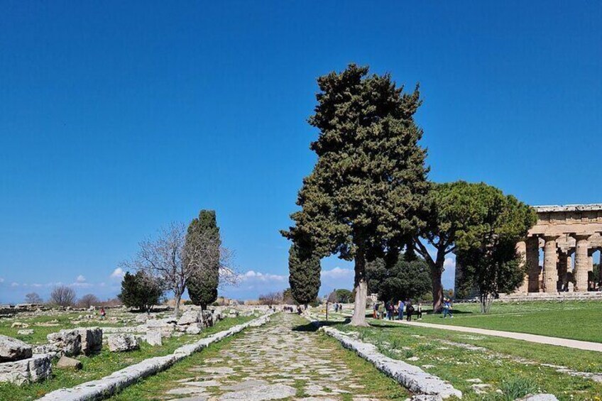 Half Day Private Tour in the Temples of Paestum