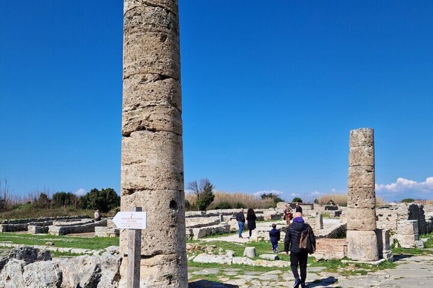 Half Day Private Tour in the Temples of Paestum