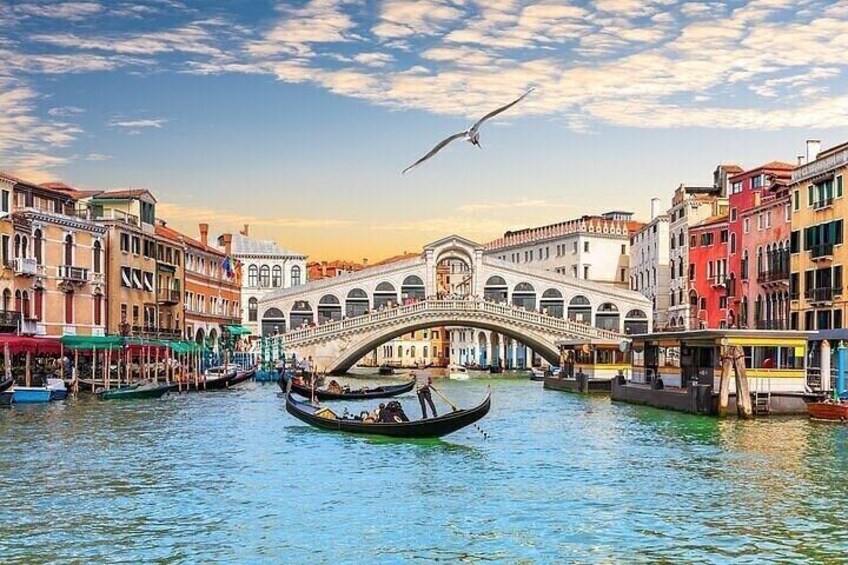 Private Tour from Milan: Venice Full Day Tour by Train