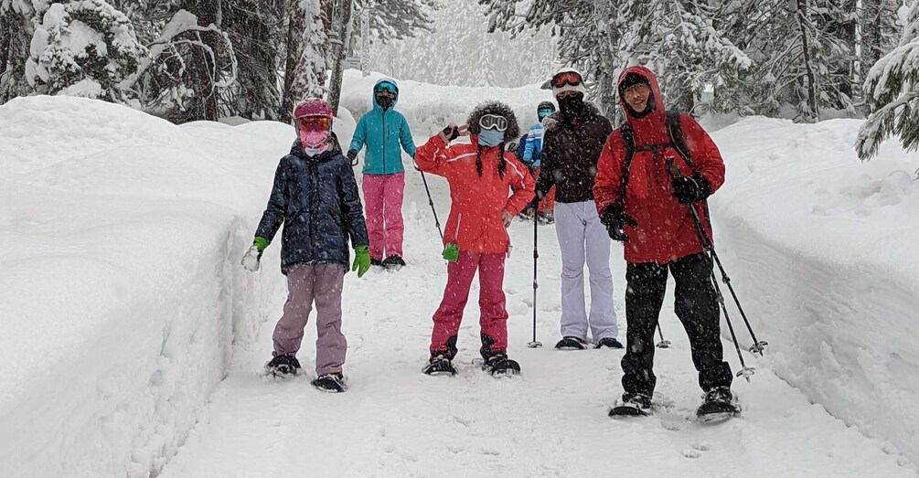 Picture 7 for Activity Beginner and Family Snowshoe Tour