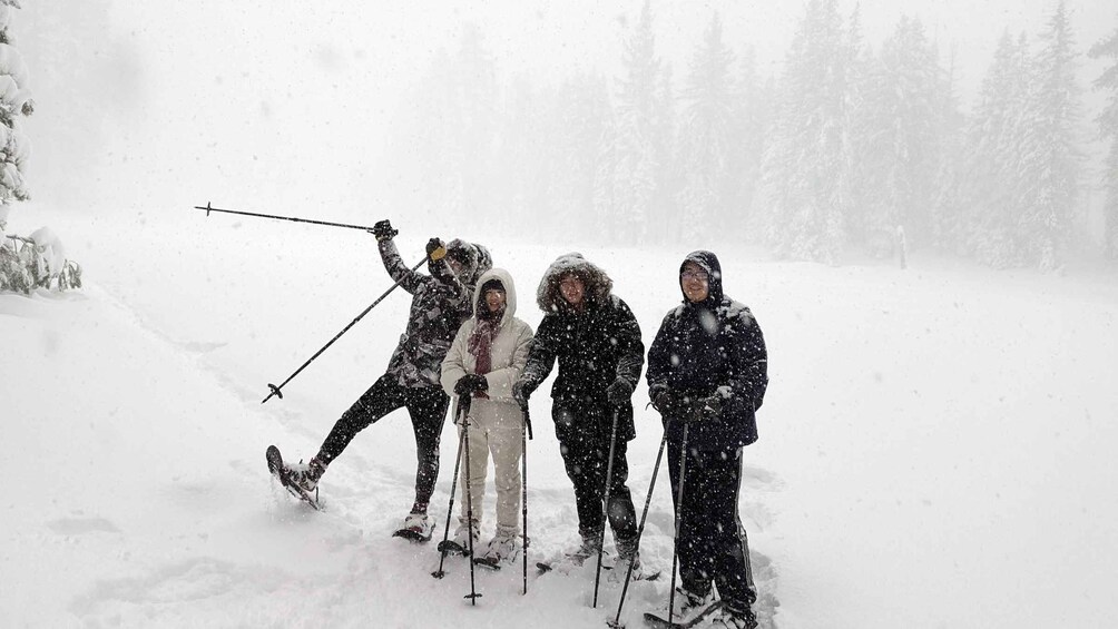 Picture 9 for Activity Beginner and Family Snowshoe Tour