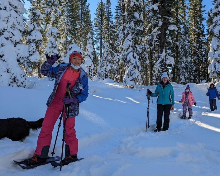 Picture 4 for Activity Beginner and Family Snowshoe Tour
