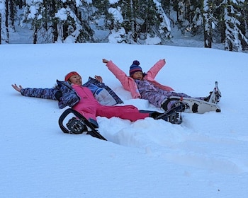 Excursión con raquetas de nieve para principiantes y familias