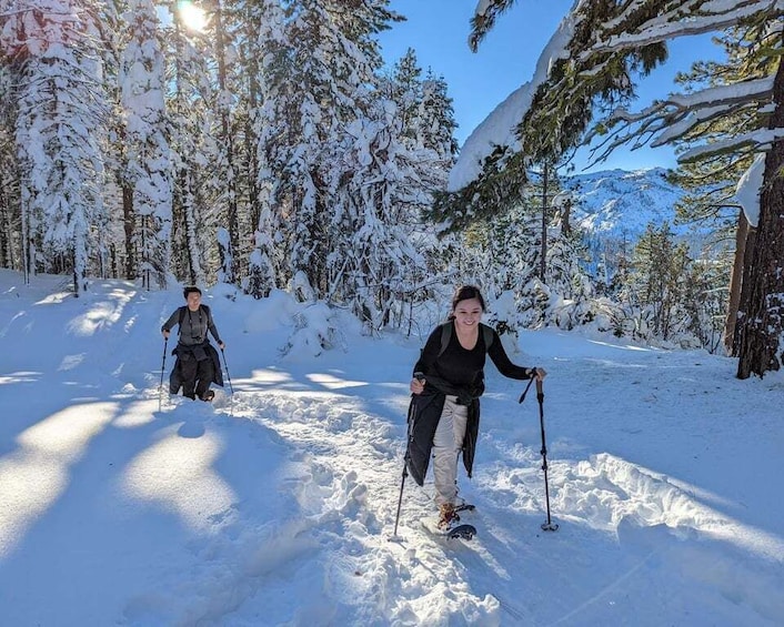 Picture 1 for Activity Beginner and Family Snowshoe Tour