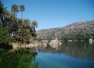 Udaipur: Mount Abu en Dilwara Tempels Privé Tour