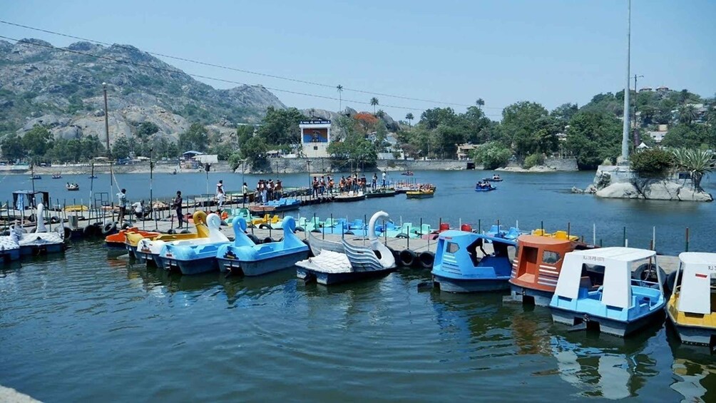 Picture 1 for Activity Udaipur: Mount Abu and Dilwara Temples Private Tour