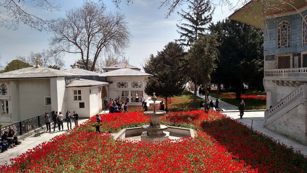 Picture 23 for Activity Istanbul: Topkapi, Hagia Sophia and Basilica Cistern Tour