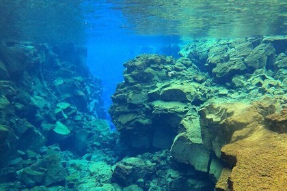 Private Snorkeling Tour Between Tectonic Plates from Reykjavik