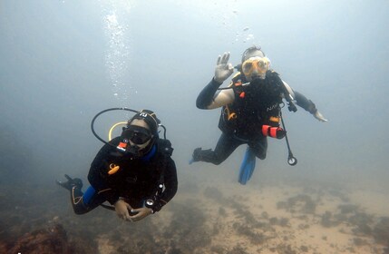 Sessimbra : Certification SSI Basic Diver