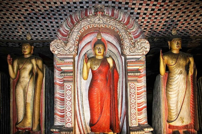 Picture 5 for Activity From Bentota: Day Trip to Sigiriya and Dambulla Temple
