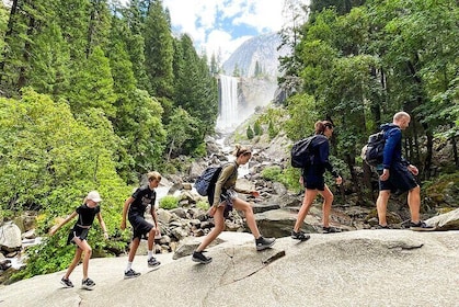 Waterfalls of Yosemite - Private Tour