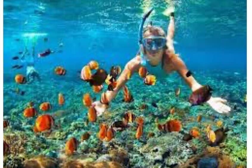 Party Catamaran & Snorkeling tour in Montego Bay 