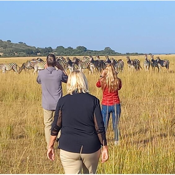 Picture 10 for Activity From Kasane: Helicopter Safari Flight (Chobe National Park)