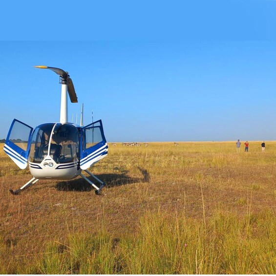 Picture 11 for Activity From Kasane: Helicopter Safari Flight (Chobe National Park)
