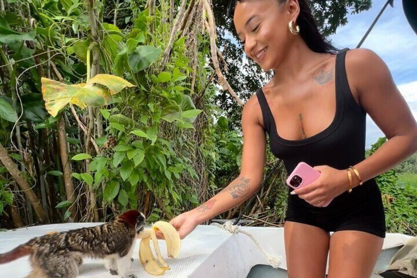 Panamá Boat Tour and wildlife in the Panama Canal