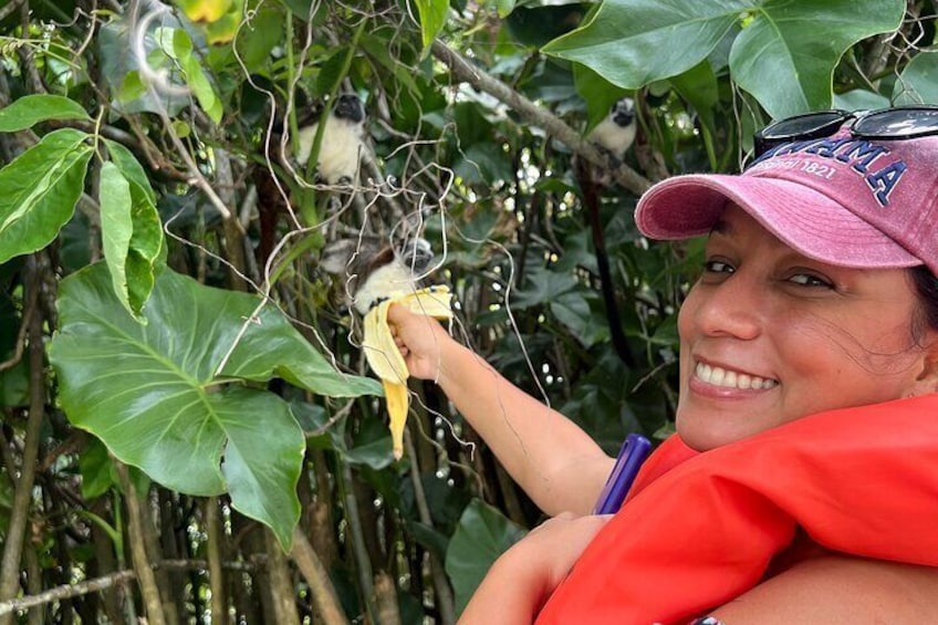 Wildlife Boat Tour in the Panama Canal Lake