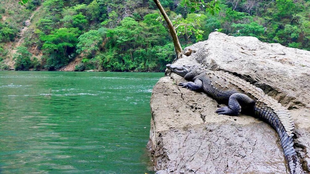 View of the canyon in Chiapas, Mexico