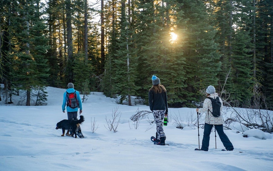 Picture 11 for Activity Sunset Snowshoe Guided Hike