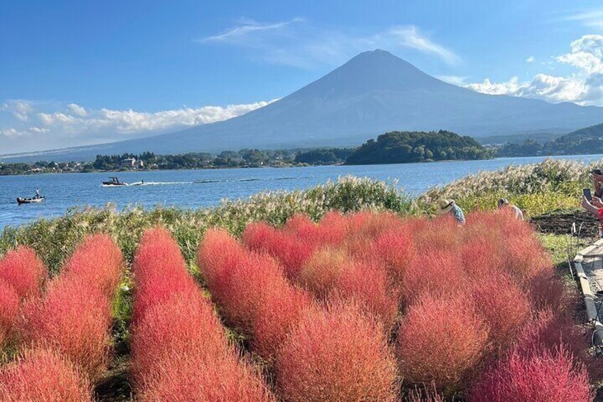 Full Day Private Tour in Mount Fuji and Hakone